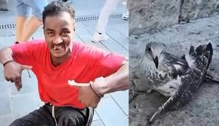 &Uuml;sk&uuml;dar sahilde martılara fal&ccedil;atayla saldırmıştı! Bakın o cani kim &ccedil;ıktı