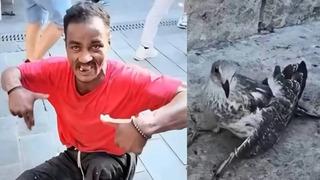 Üsküdar sahilde martılara falçatayla saldırmıştı! Bakın o cani kim çıktı