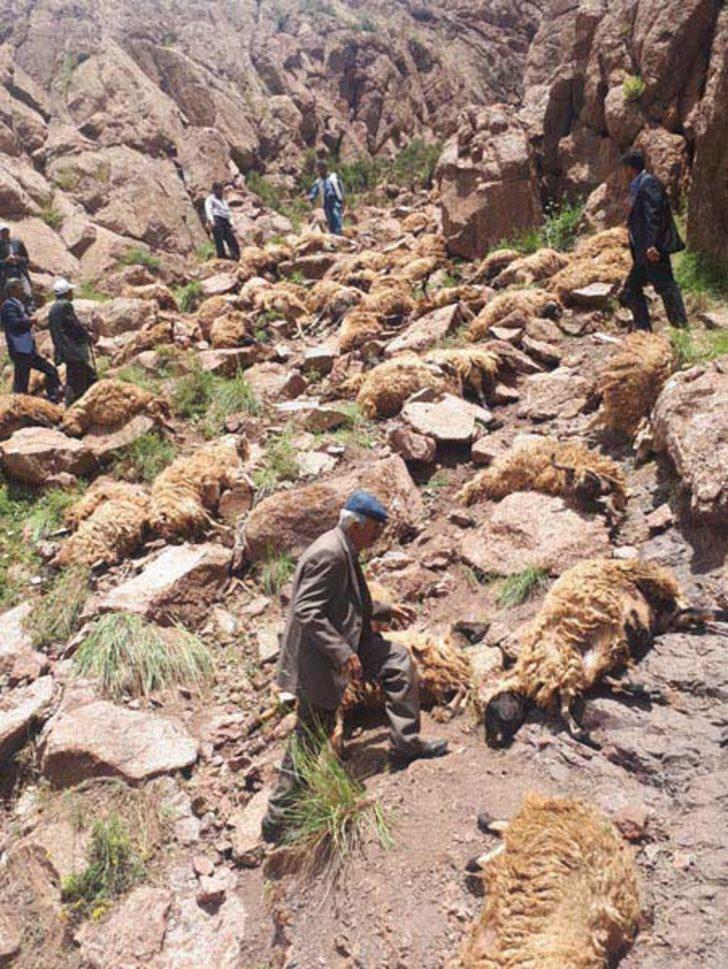 Van'da şoke eden olay!500 koyun intihar etti  G2