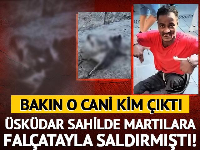 &Uuml;sk&uuml;dar sahilde martılara fal&ccedil;atayla saldırmıştı! Bakın o cani kim &ccedil;ıktı
