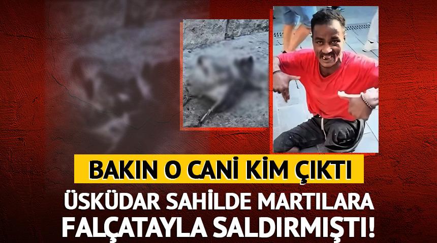 &Uuml;sk&uuml;dar sahilde martılara fal&ccedil;atayla saldırmıştı! Bakın o cani kim &ccedil;ıktı