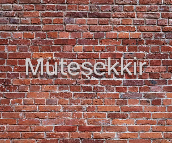 O kelimelerin anlamını biliyor musunuz? G1