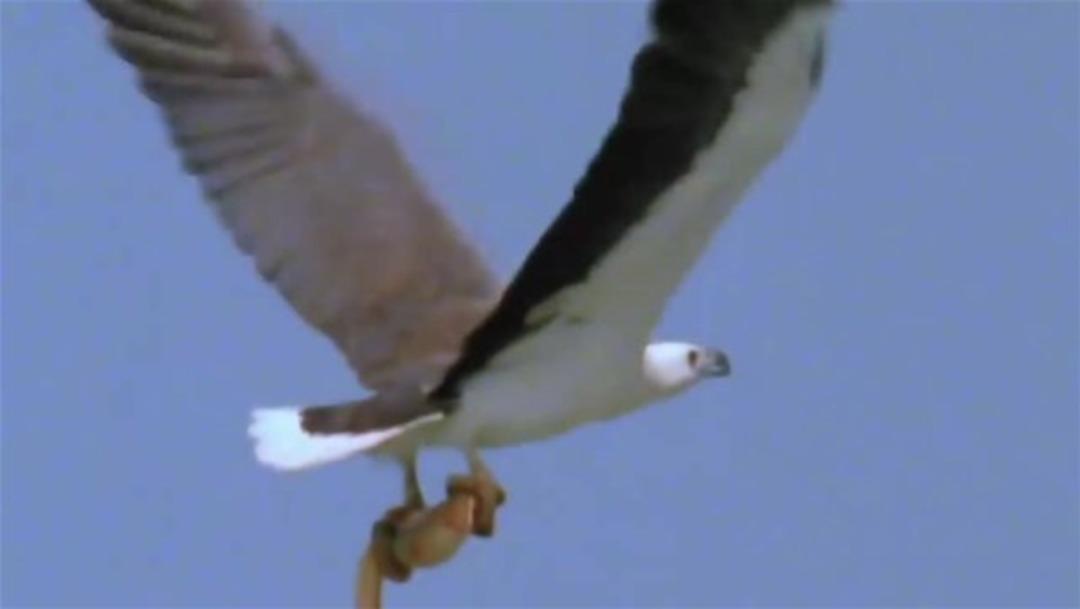 G&ouml;ky&uuml;z&uuml;nden dalışa ge&ccedil;ti 