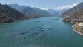 Artvin'de �retiliyor d�nyaya da��t�l�yor!