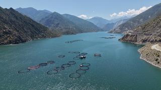 Artvin'de üretiliyor dünyaya dağıtılıyor! Herkes bu Türk lezzetinin peşinde