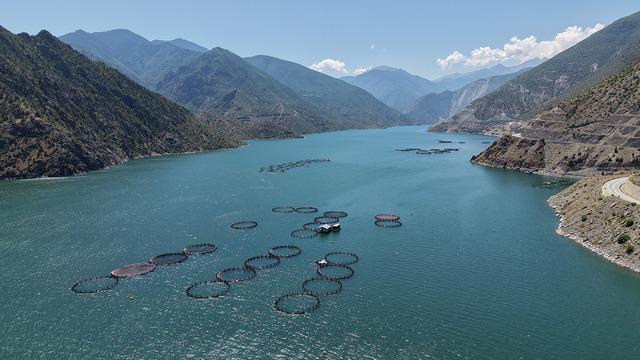 Artvin'de üretiliyor dünyaya dağıtılıyor! Herkes bu Türk lezzetinin peşinde