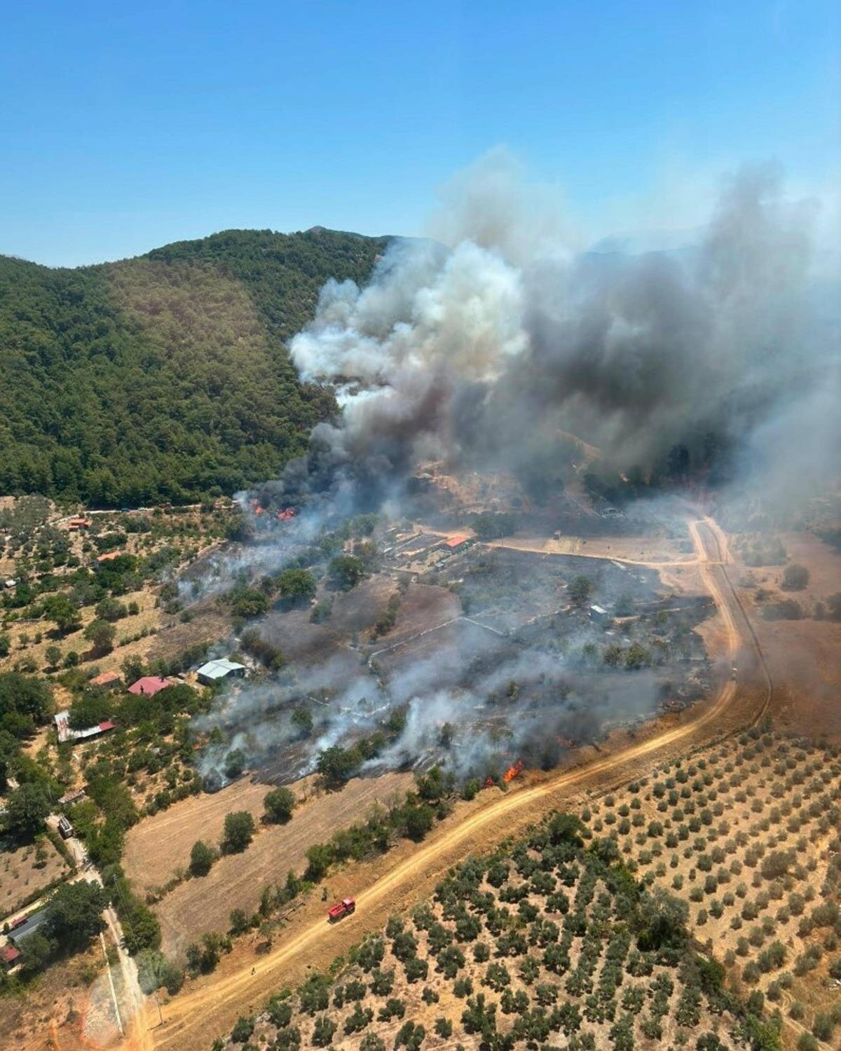 Muğla da orman yangını b&uuml;y&uuml;yor! Alevler evlere ulaştı 1
