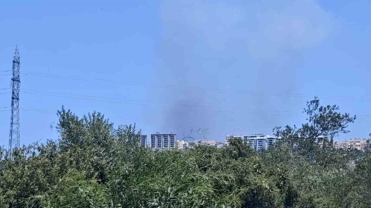 Antalya’da ormanlık alanda yangın