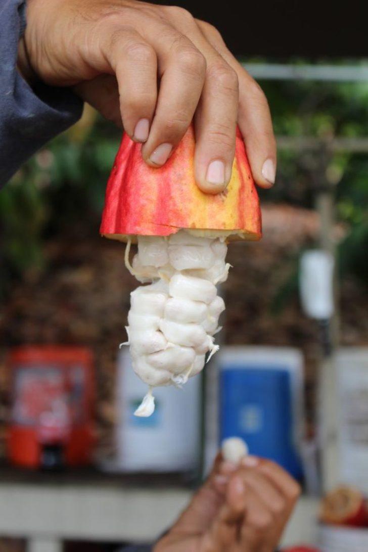 Hiç böyle hayal etmemiştik! Çikolatanın baştan sona üretim hali G5