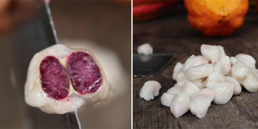 Hi&ccedil; b&ouml;yle hayal etmemiştik! &Ccedil;ikolatanın baştan sona &uuml;retim hali