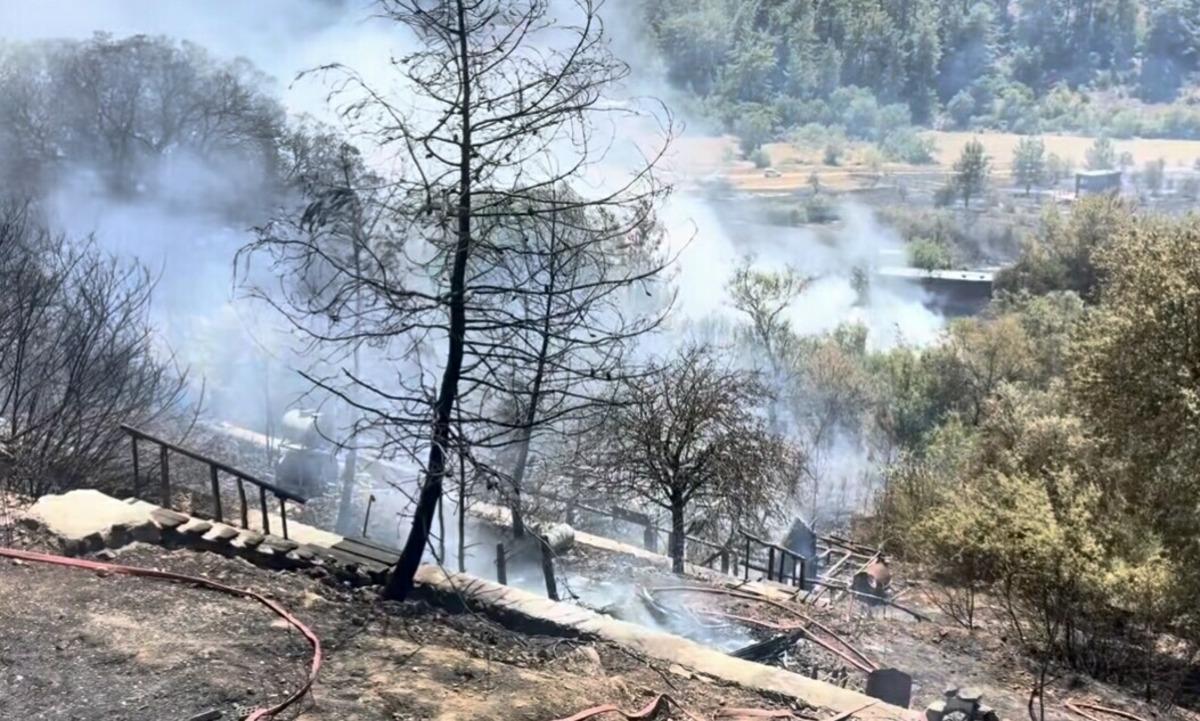 Muğla da orman yangını b&uuml;y&uuml;yor! Alevler evlere ulaştı 3