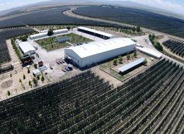 Niğde'deki dev bahçeden 20 bin ton elma toplanıyor