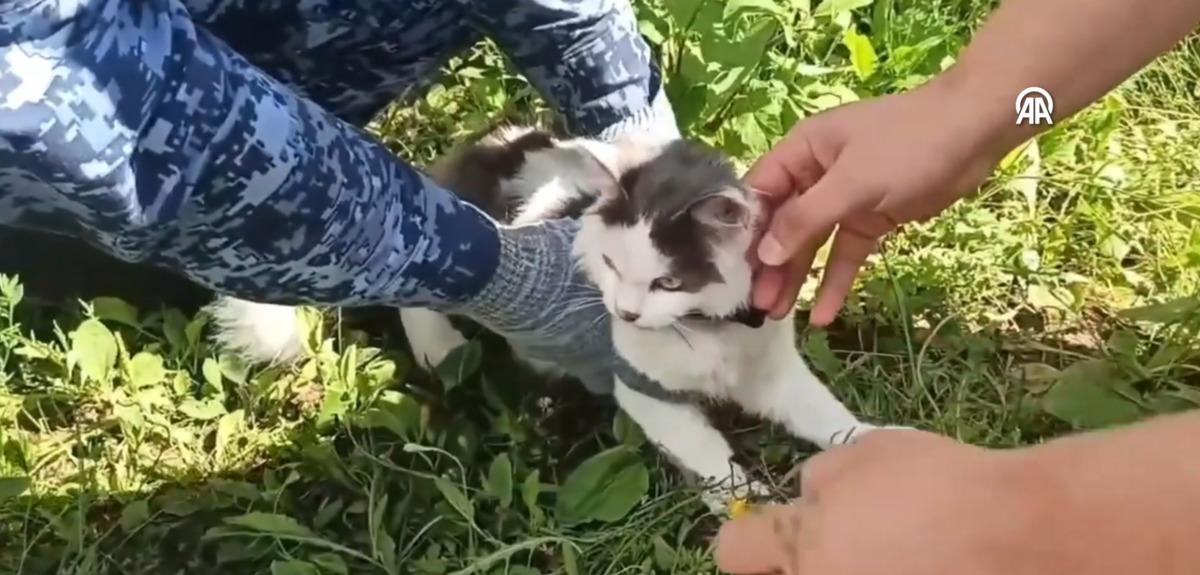Cezaevine kediyle uyuşturucu sokmuşlar! 1
