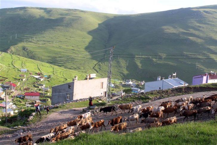 Ardahan'da "Atatürk Silueti" görülmeye başlandı  G3