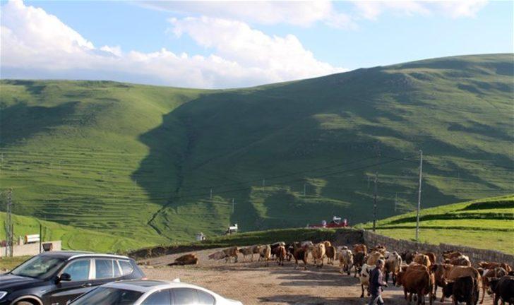 Ardahan'da "Atatürk Silueti" görülmeye başlandı  G5