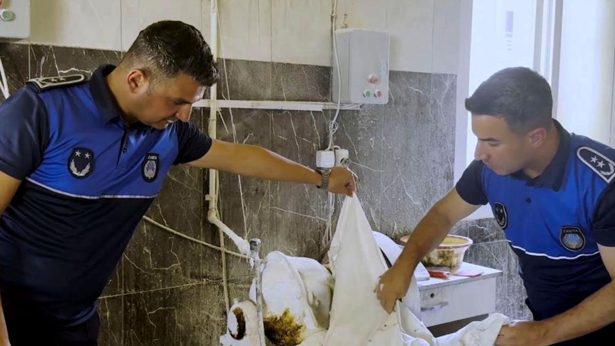 Tarsus'ta fırın denetimlerinde haşereli hamur tespit edildi