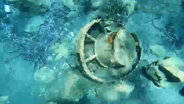 Yer: Muğla! Denizde yüzerken fark etti: Ekipler alarma geçti