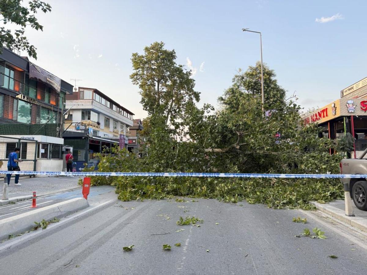 Meteoroloji uyarmıştı! İstanbul da şiddetli fırtına ve yağmur: Çatılar uçtu, ağaçlar devrildi 8