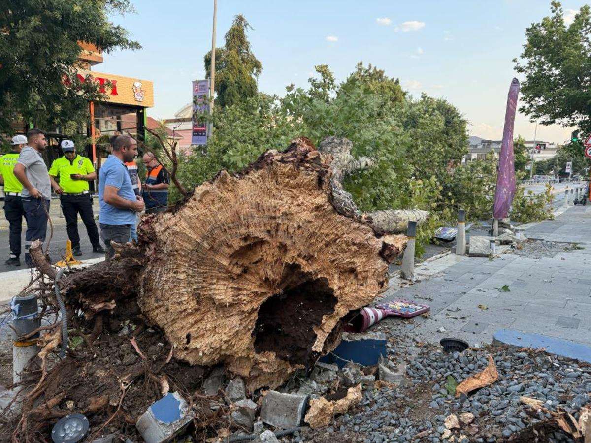 Meteoroloji uyarmıştı! İstanbul da şiddetli fırtına ve yağmur: Çatılar uçtu, ağaçlar devrildi 9