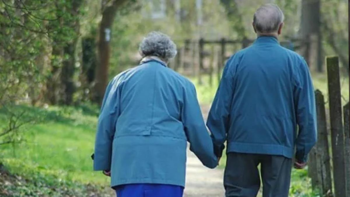 65 yaş &uuml;st&uuml;ne &uuml;cretsiz hizmetler! İşte başvuru şartları... 1
