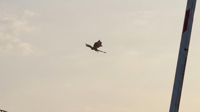Gökyüzünde 'ejderha ' paniği! Görenler gözlerine inanamadı, gerçek ortaya çıktı