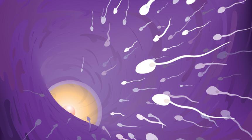 İki aylık stres sperm kalitesini yüzde 47 düşürüyor