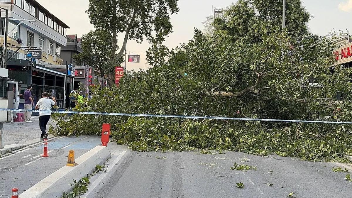 Fırtınaya havada yakalandılar! Uçaktaki panik anları kamerada 3