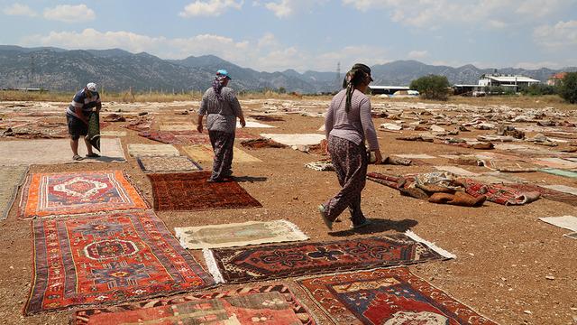 Önce güneş altında solduruyorlar sonra 500 dolara satıyorlar