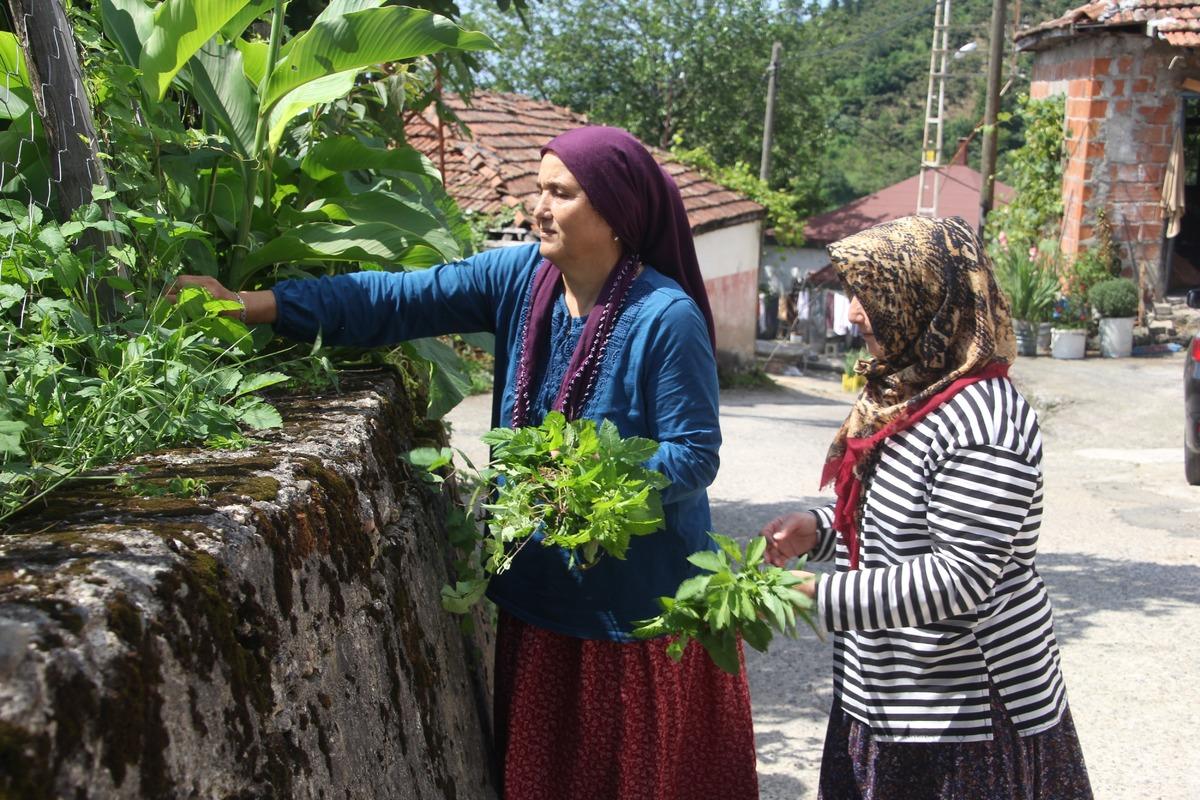 Karakola çağrılınca 5 kişi birden gidiyorlar! Mezar taşları bile aynı 3