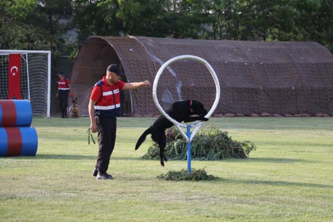 Diyarbakır'da inanılmaz g&ouml;r&uuml;nt&uuml;ler 