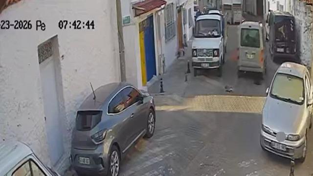 İki sokak kedisini ezdi, arkasına bile bakmadan uzaklaştı