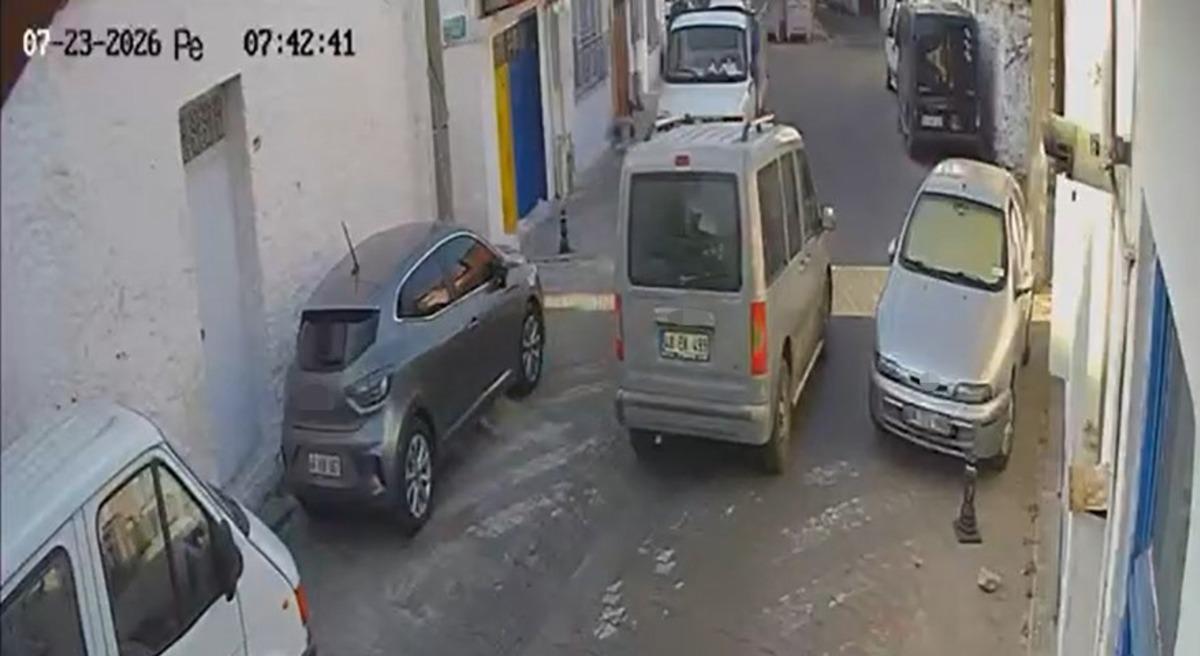 İki sokak kedisini ezdi, arkasına bile bakmadan uzaklaştı 1