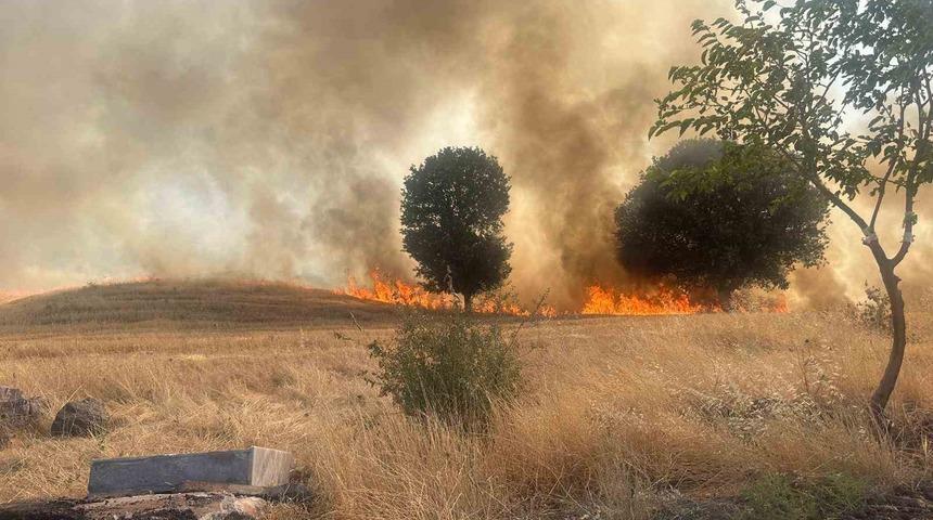 Trafo yangını ağa&ccedil;lık alanı yok etti