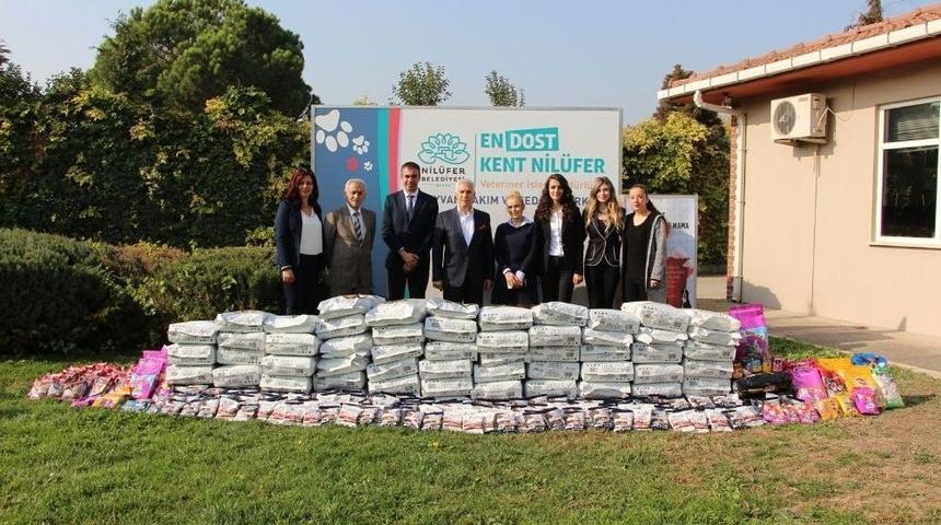 Can Dostlara 2 Ton Mama