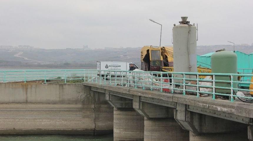 B&uuml;y&uuml;k&ccedil;ekmece Barajinda Erkek Cesedi Bulundu