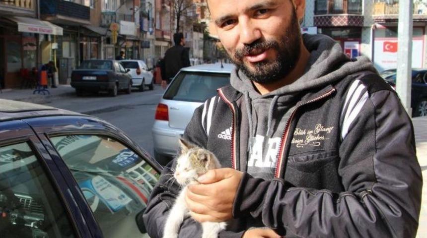 Tokat&rsquo;ta Kedi Kurtarma Operasyonu