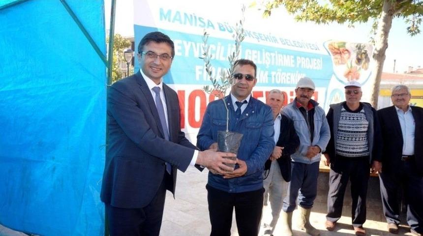 Sarıg&ouml;l&rsquo;de &Ccedil;ift&ccedil;ilere Zeytin Desteği