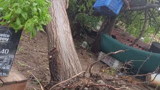 Serik’te sağanak ve hortum evin çatısına zarar verdi, iki ağacı kökünden söktü