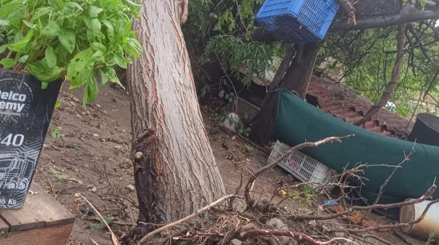 Serik&rsquo;te sağanak ve hortum evin &ccedil;atısına zarar verdi, iki ağacı k&ouml;k&uuml;nden s&ouml;kt&uuml;