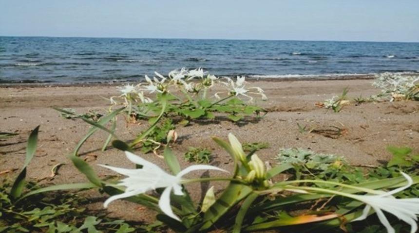 &Ccedil;evre Kanunu&rsquo;nu ihlal eden kişiye 699 bin TL idari para cezası