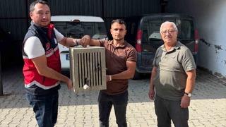 Yaralı halde bulunan leylek, koruma altına alındı