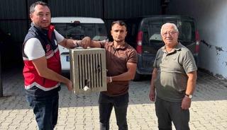 Yaralı halde bulunan leylek, koruma altına alındı