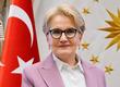 Meral Akşener Vakfı resmen kuruldu