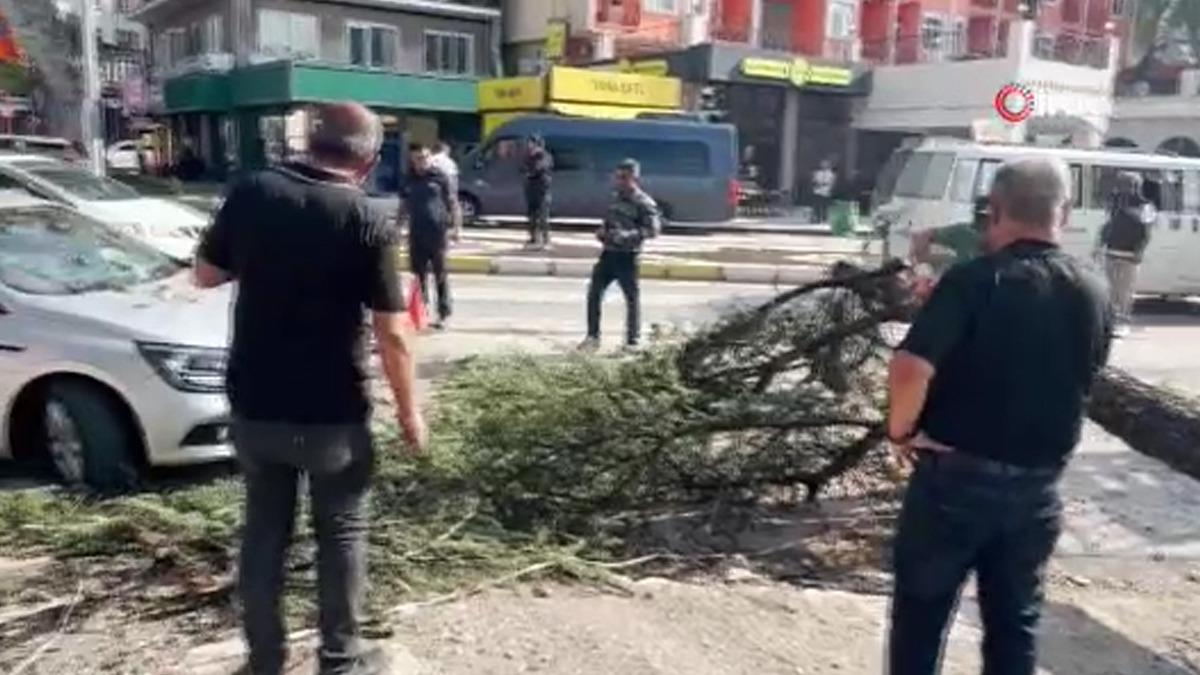 Fırtınada k&ouml;k&uuml;nden s&ouml;k&uuml;len ağa&ccedil; otomobilin &uuml;zerine devrildi 1