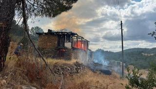 Ahırda &ccedil;ıkan yangın ormana sı&ccedil;radı, b&uuml;y&uuml;meden s&ouml;nd&uuml;r&uuml;ld&uuml;