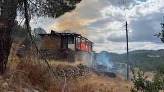 Ahırda çıkan yangın ormana sıçradı, büyümeden söndürüldü