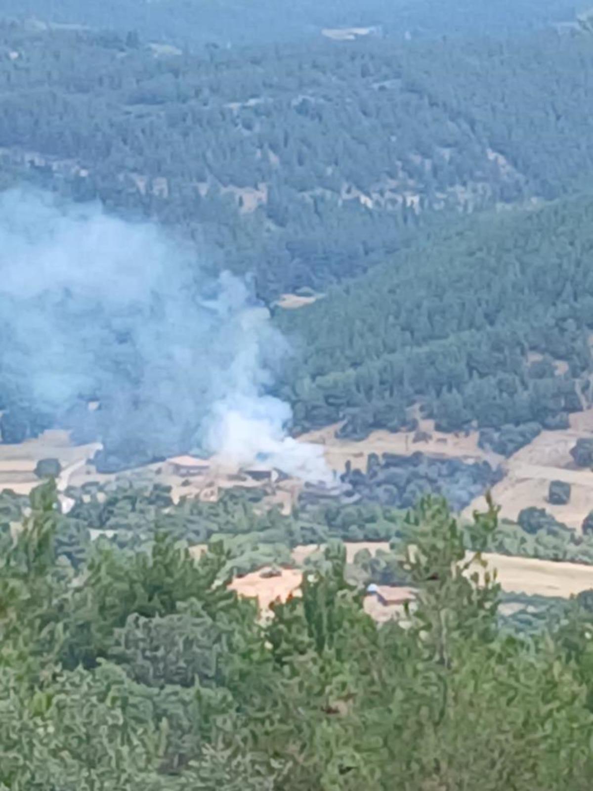 Ahırda çıkan yangın ormana sıçradı, büyümeden söndürüldü 2