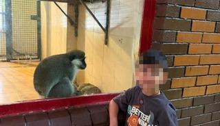 Havuzda boğulma tehlikesi ge&ccedil;iren &ccedil;ocuk &ouml;ld&uuml;