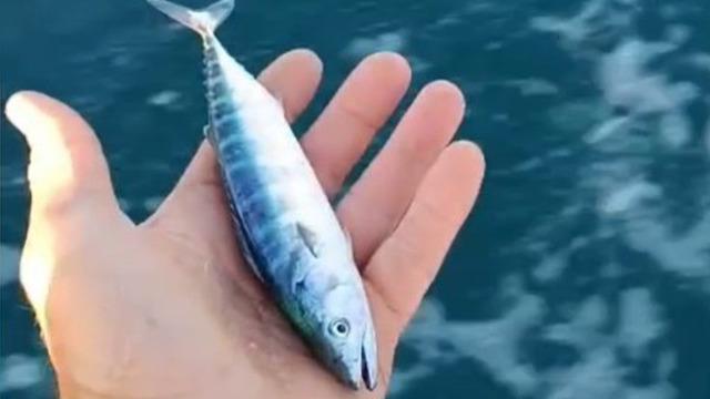 Sezonun uğurunu ellerinde tuttu! Sayılı gün kala heyecan yarattı