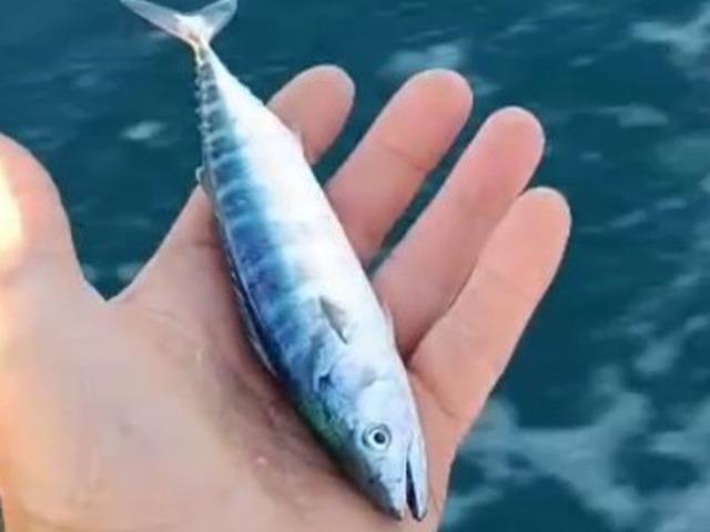 Sezonun uğurunu ellerinde tuttu! Sayılı gün kala heyecan yarattı